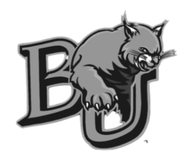 Healthcare Provider 4