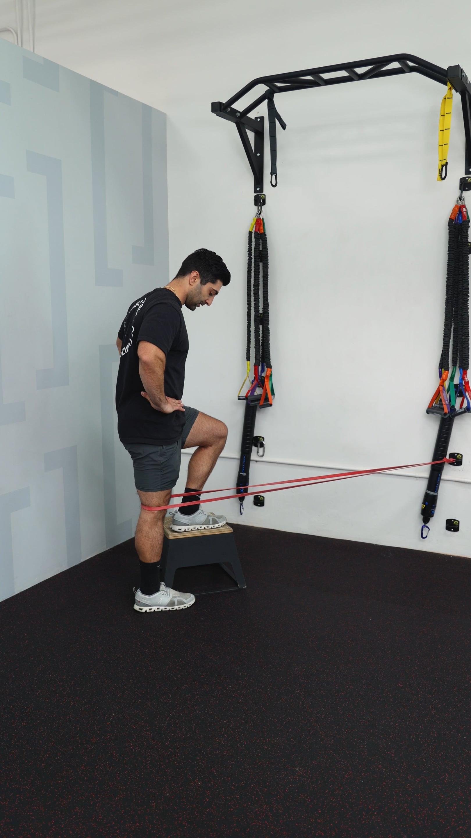 Terminal Knee Extension - Step Assist